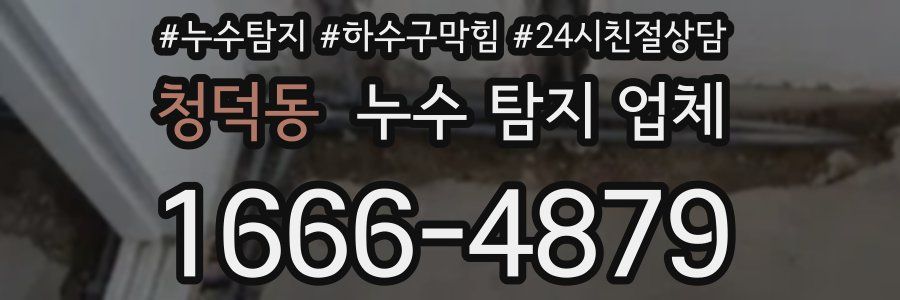 청덕동 누수 탐지 업체