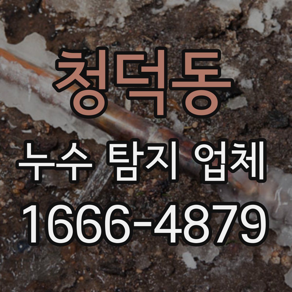 청덕동 누수 탐지 업체