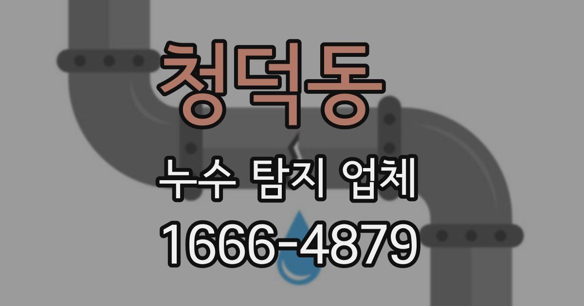 청덕동 누수 탐지 업체