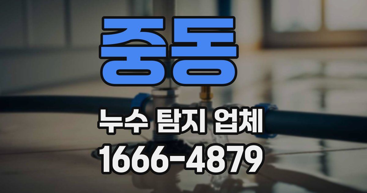 중동 누수 탐지 업체