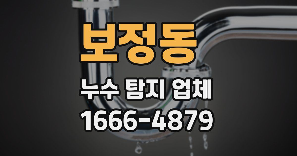 보정동 누수 탐지 업체