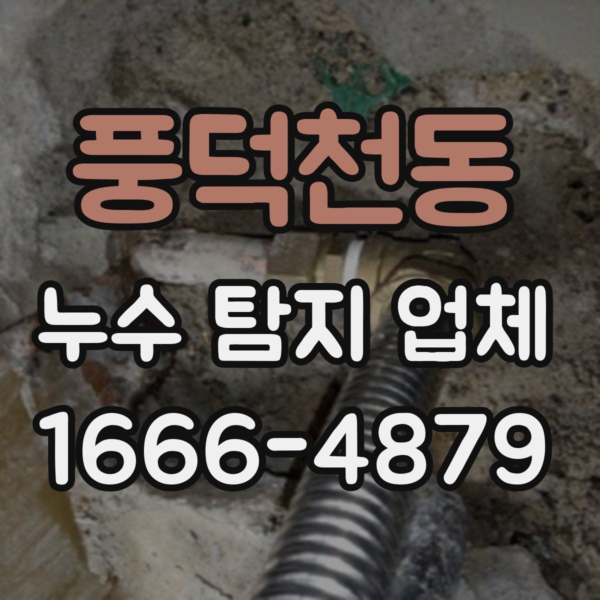 풍덕천동 누수 탐지 업체