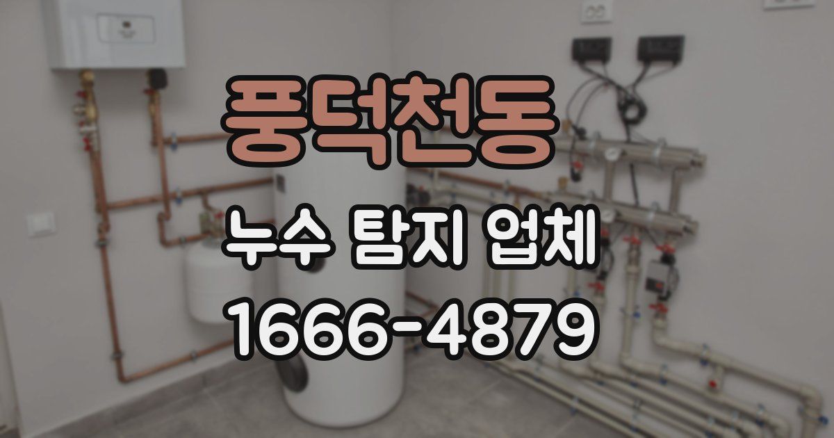 풍덕천동 누수 탐지 업체