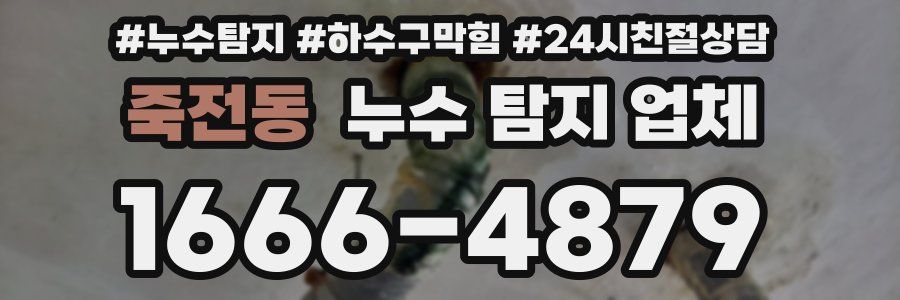 죽전동 누수 탐지 업체