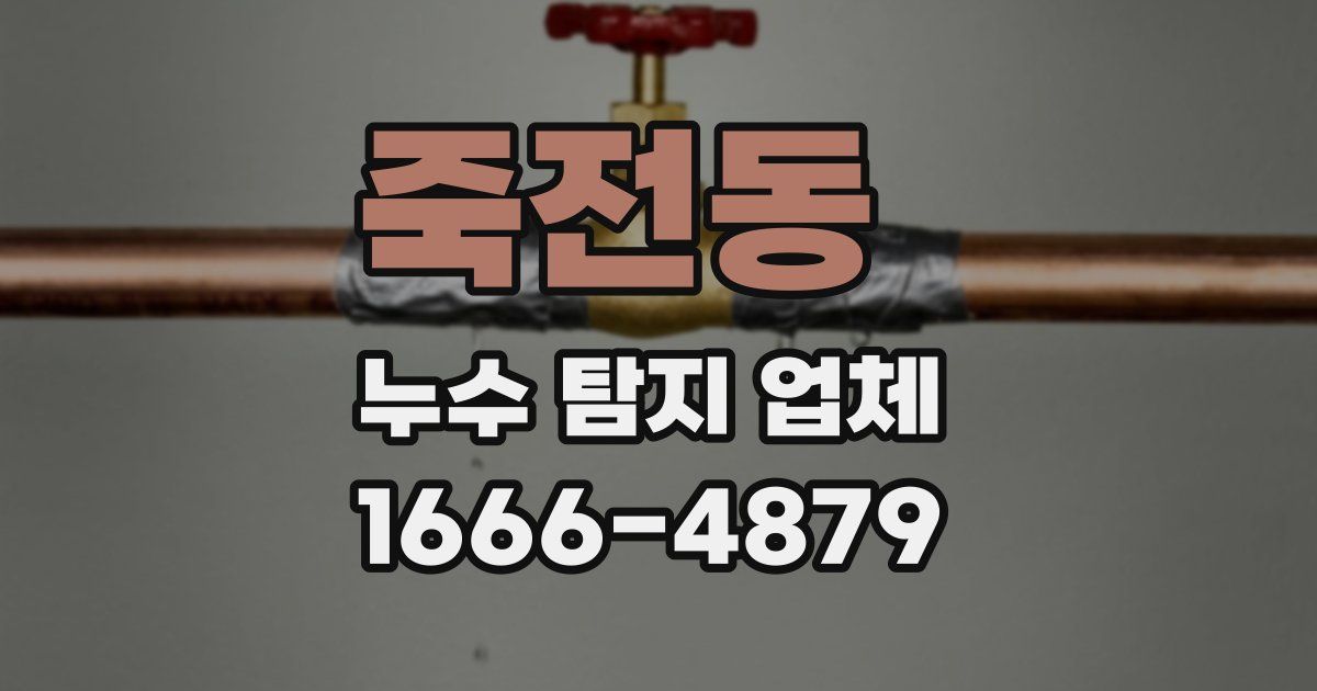 죽전동 누수 탐지 업체