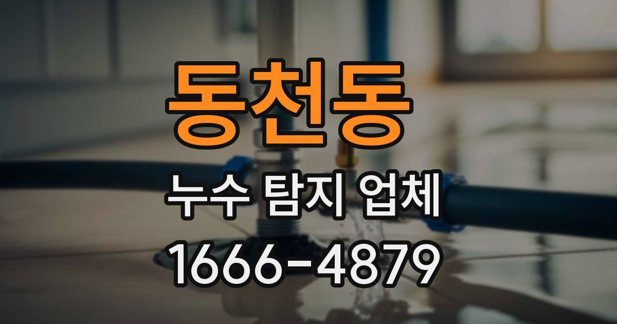 동천동 누수 탐지 업체