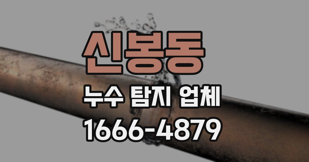 신봉동 누수 탐지 업체