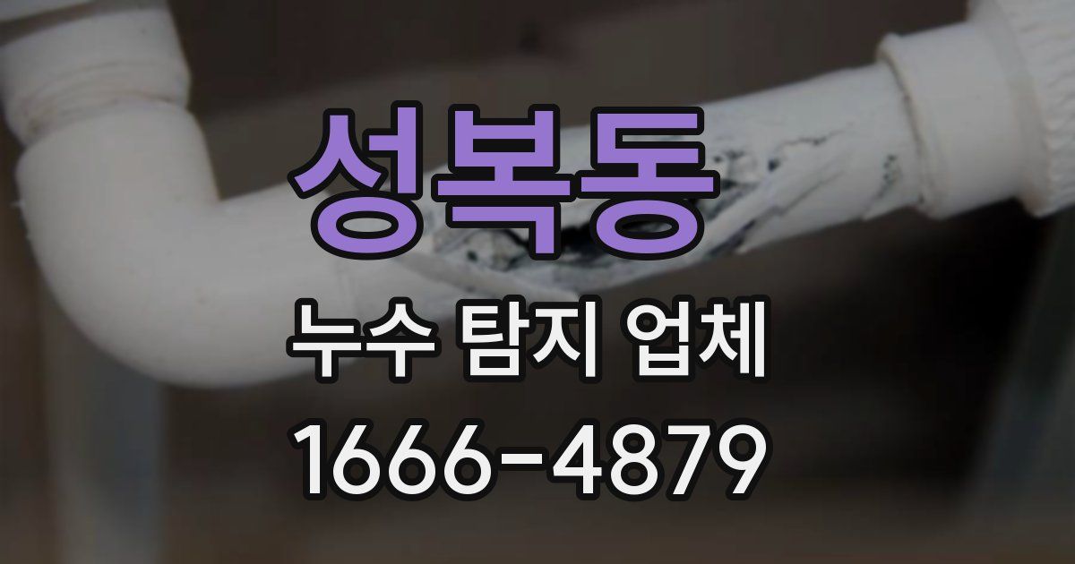 성복동 누수 탐지 업체