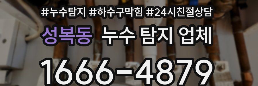 성복동 누수 탐지 업체