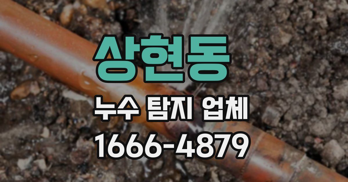 상현동 누수 탐지 업체