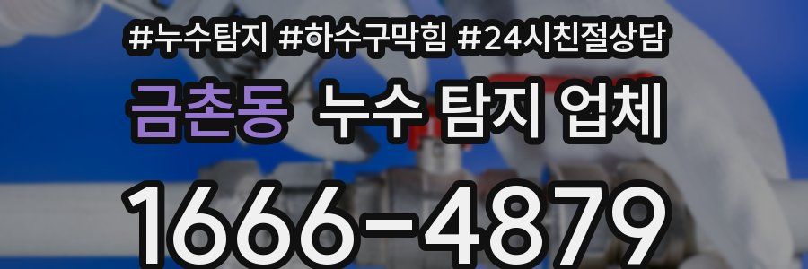 금촌동 누수 탐지 업체