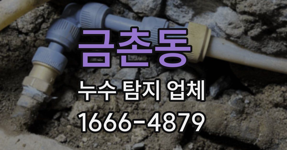 금촌동 누수 탐지 업체