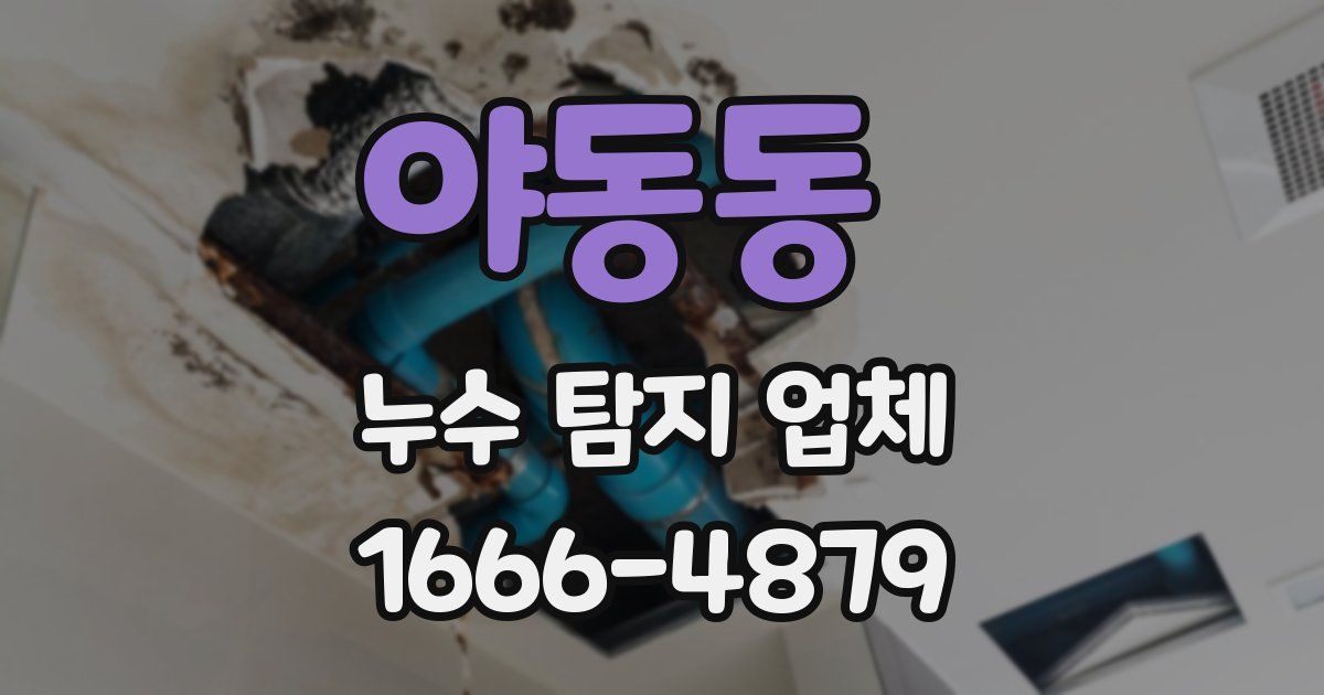 야동동 누수 탐지 업체