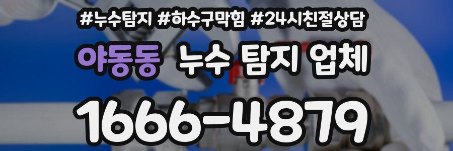 야동동 누수 탐지 업체