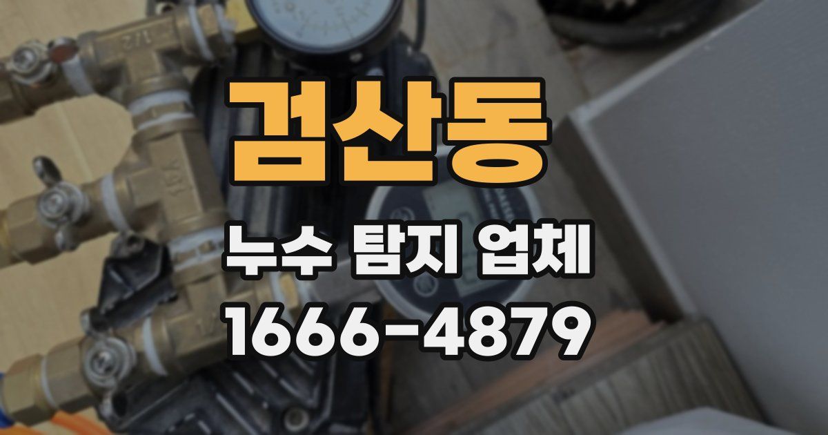 검산동 누수 탐지 업체