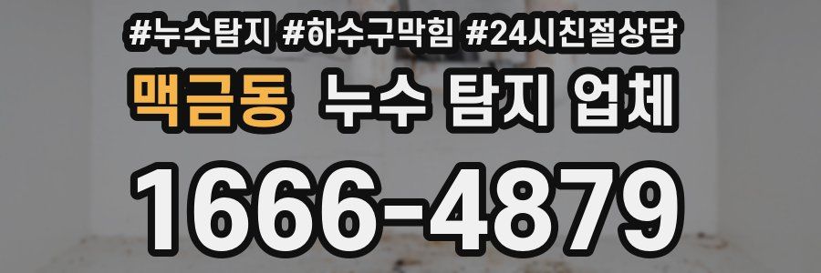 맥금동 누수 탐지 업체