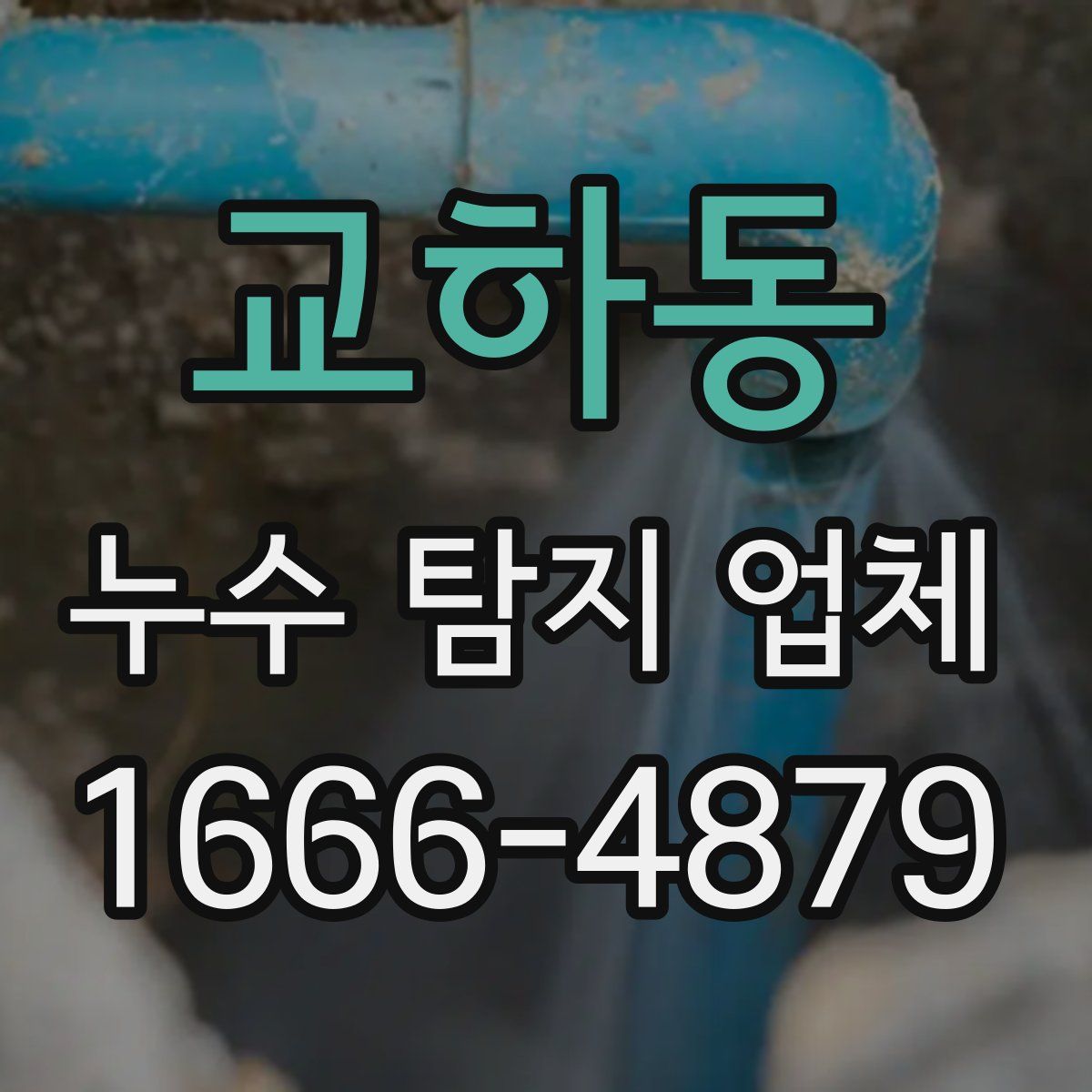 교하동 누수 탐지 업체