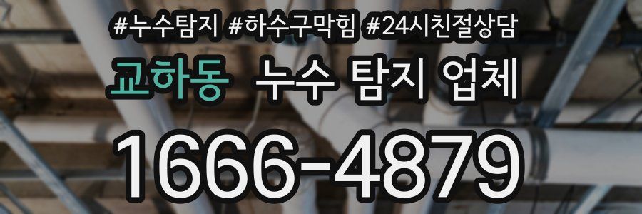 교하동 누수 탐지 업체