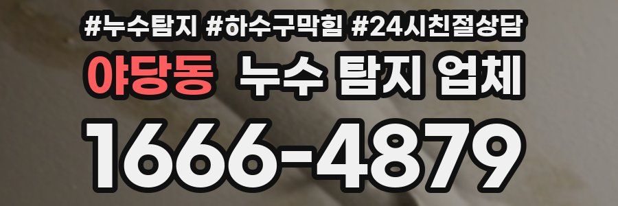 야당동 누수 탐지 업체