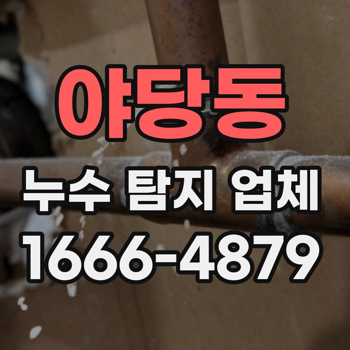 야당동 누수 탐지 업체