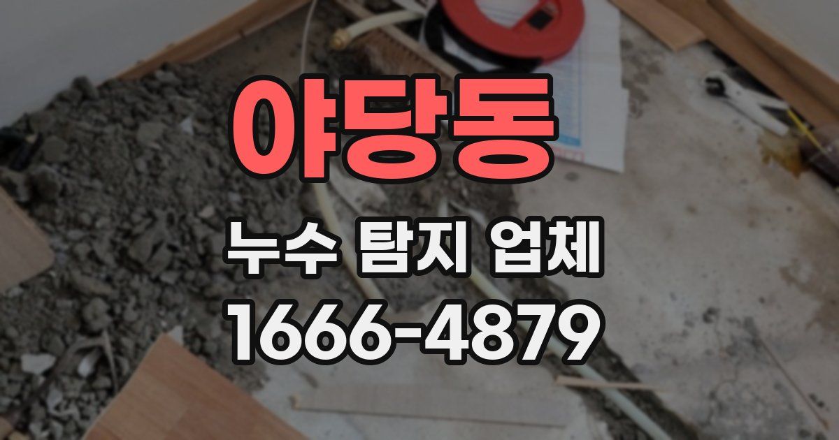 야당동 누수 탐지 업체