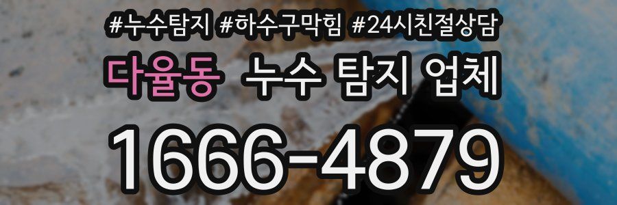 다율동 누수 탐지 업체