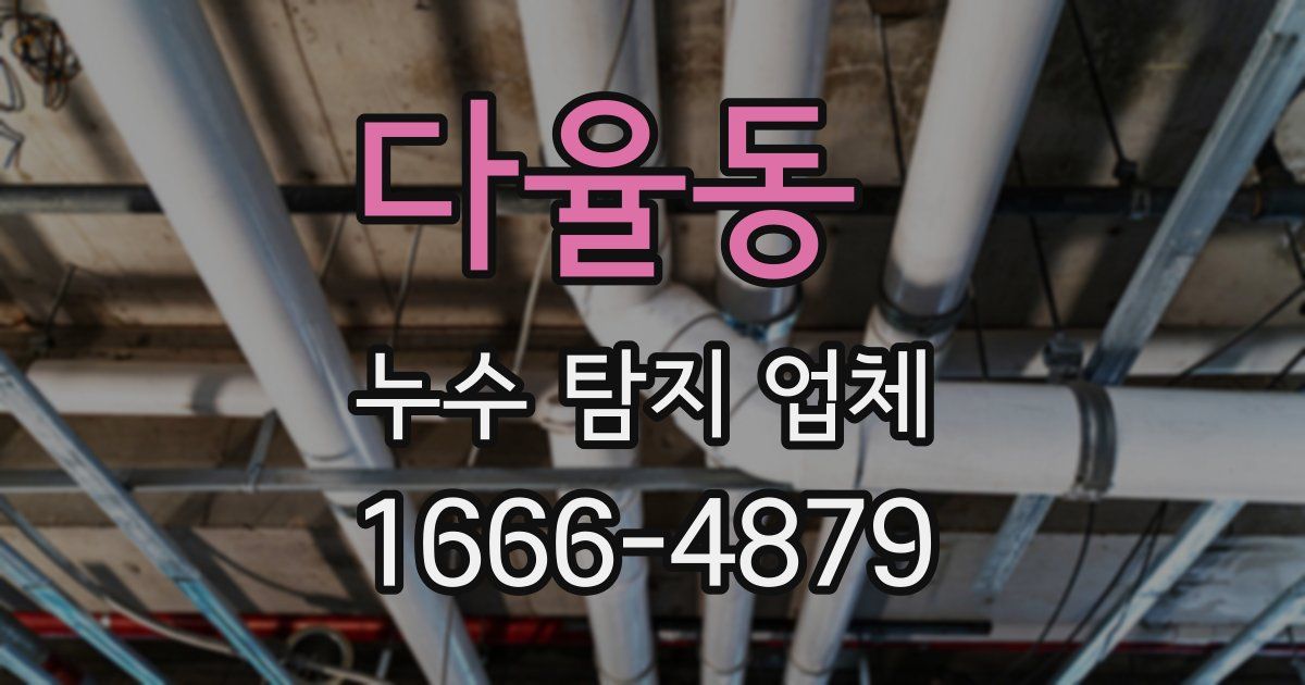 다율동 누수 탐지 업체