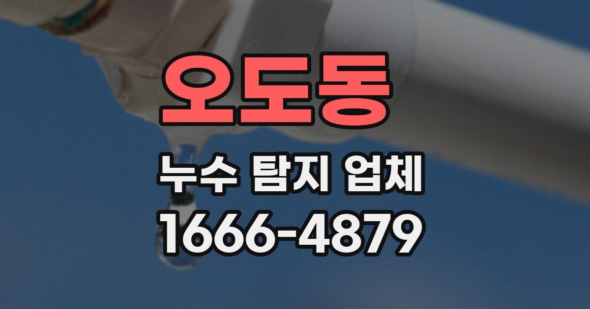 오도동 누수 탐지 업체