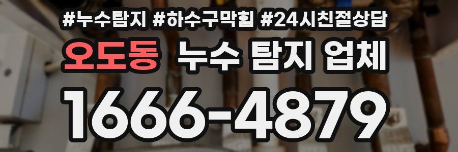 오도동 누수 탐지 업체