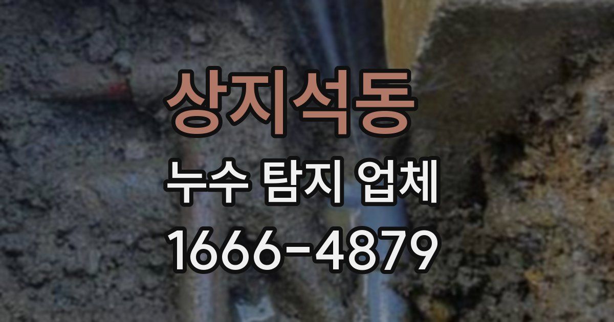 상지석동 누수 탐지 업체