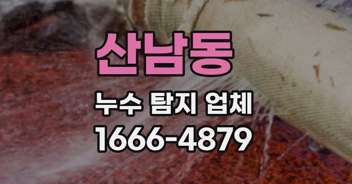 산남동 누수 탐지 업체