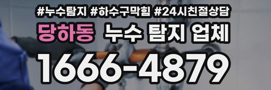 당하동 누수 탐지 업체