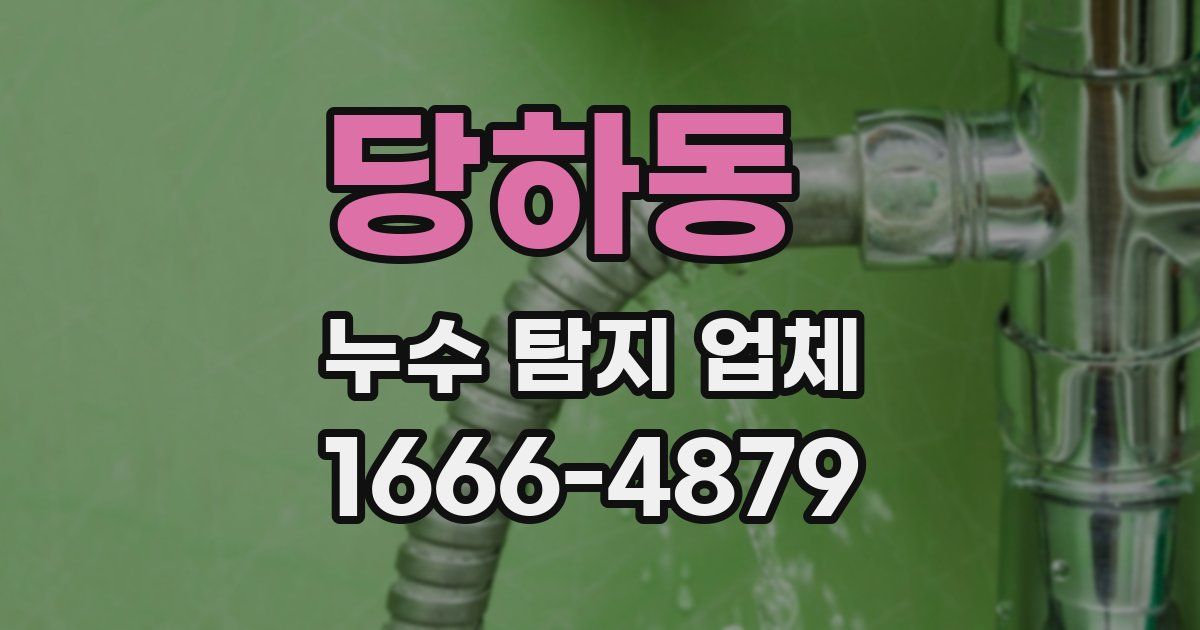 당하동 누수 탐지 업체
