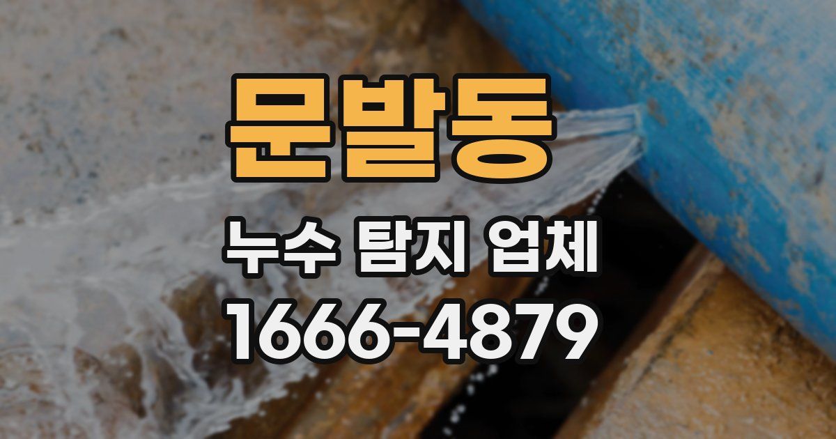 문발동 누수 탐지 업체