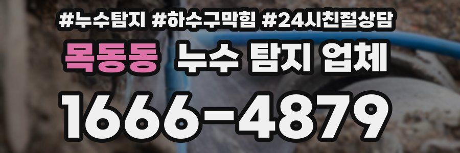 목동동 누수 탐지 업체