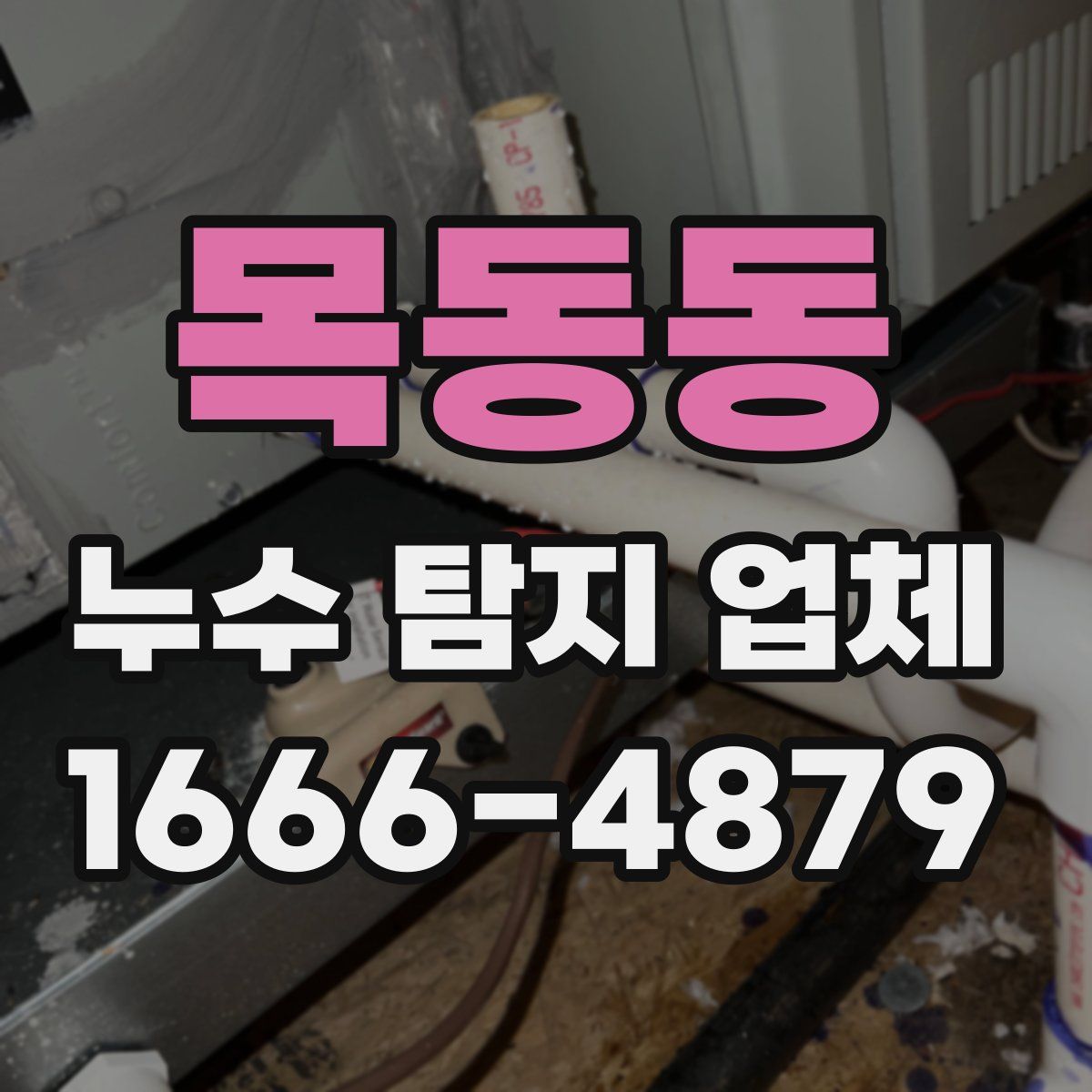목동동 누수 탐지 업체