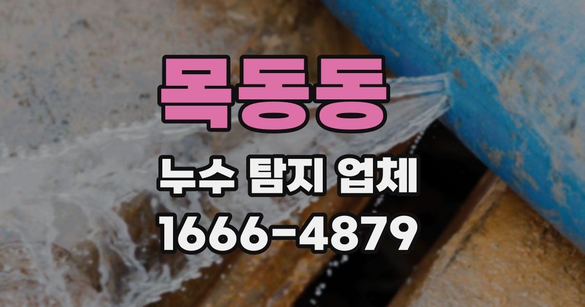 목동동 누수 탐지 업체