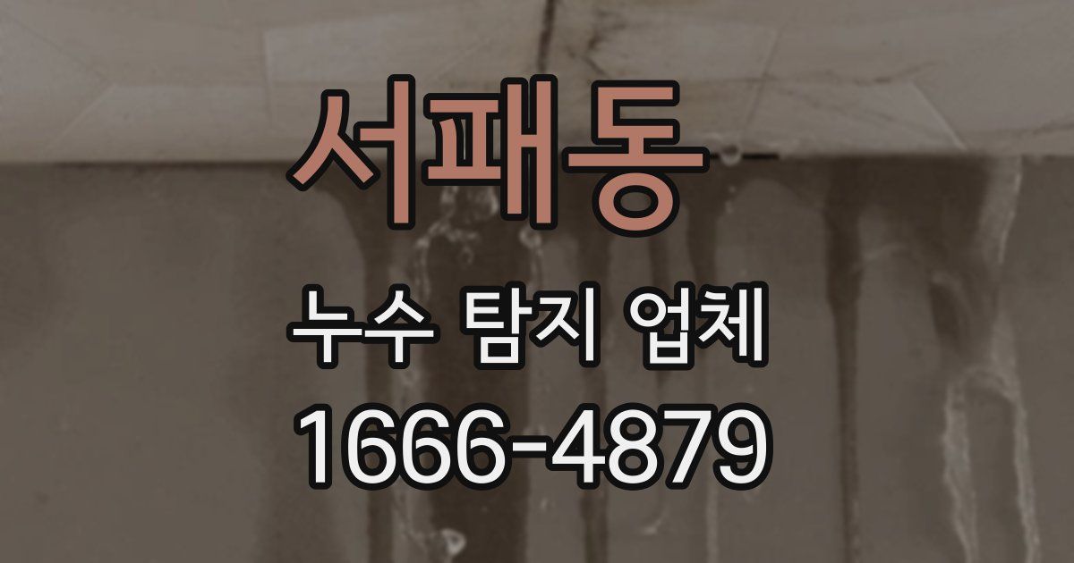 서패동 누수 탐지 업체