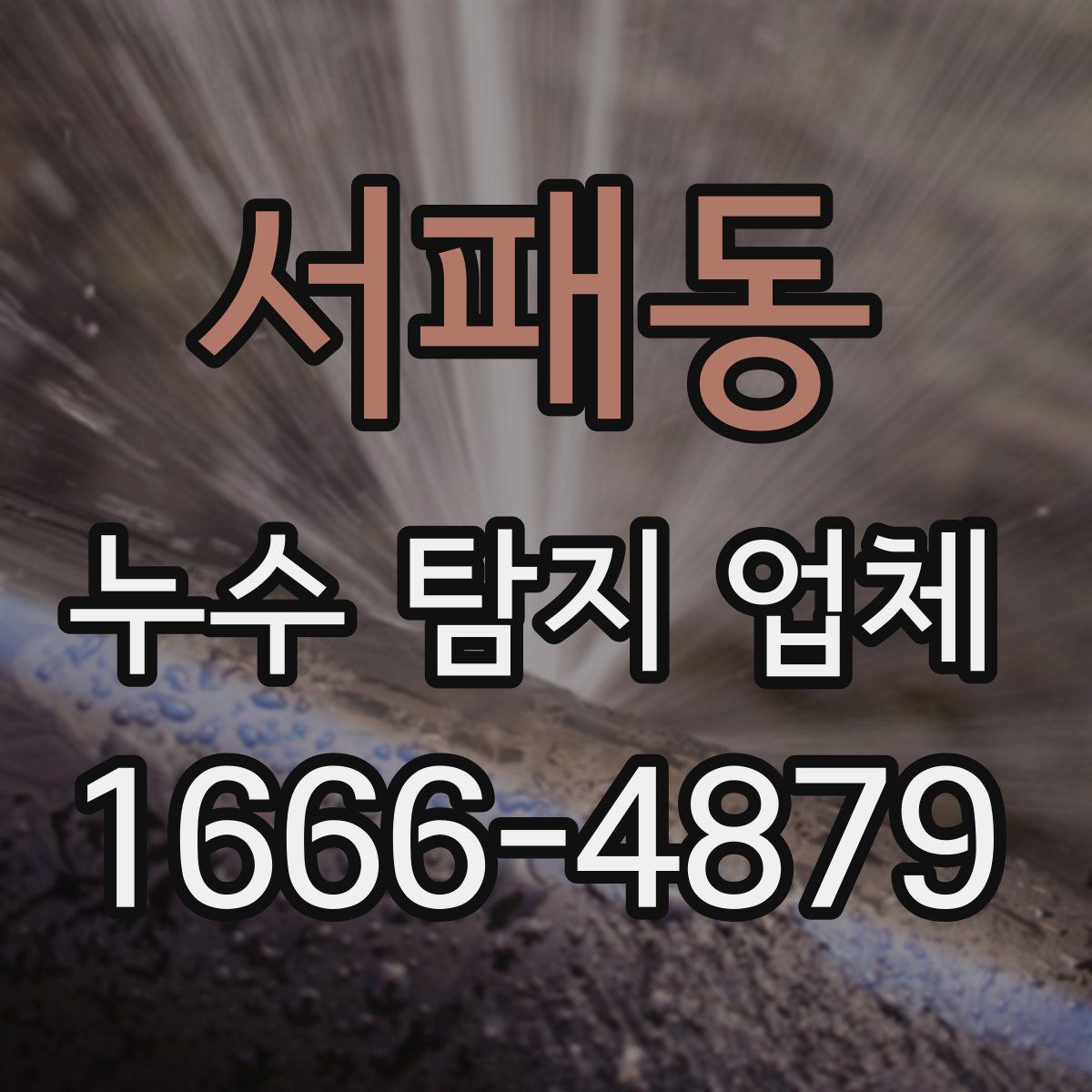 서패동 누수 탐지 업체