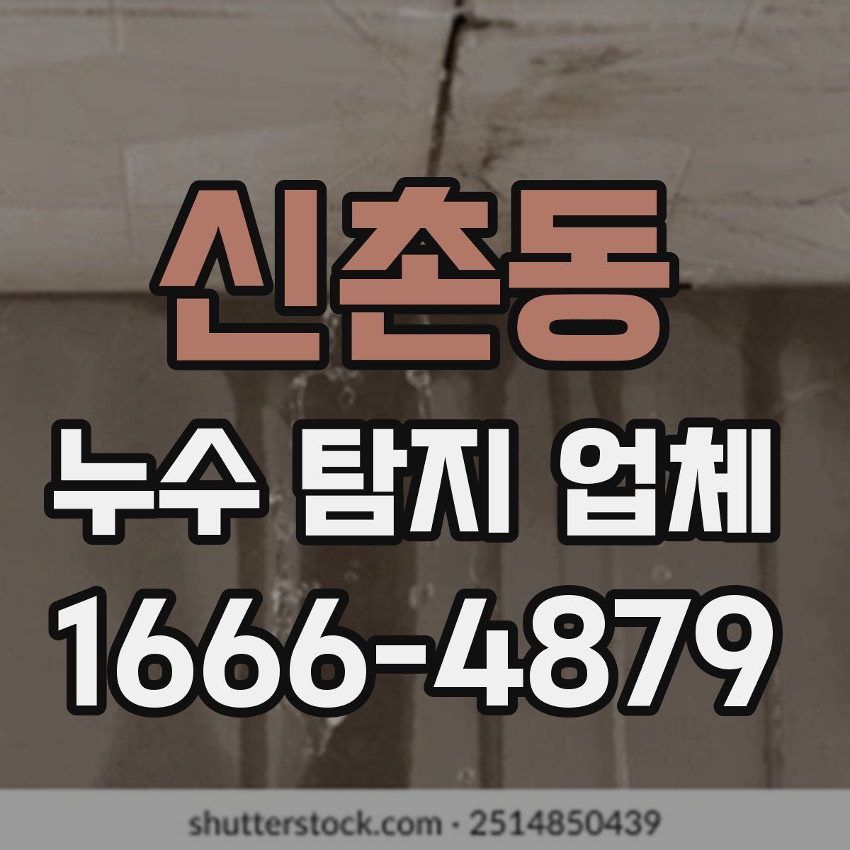신촌동 누수 탐지 업체