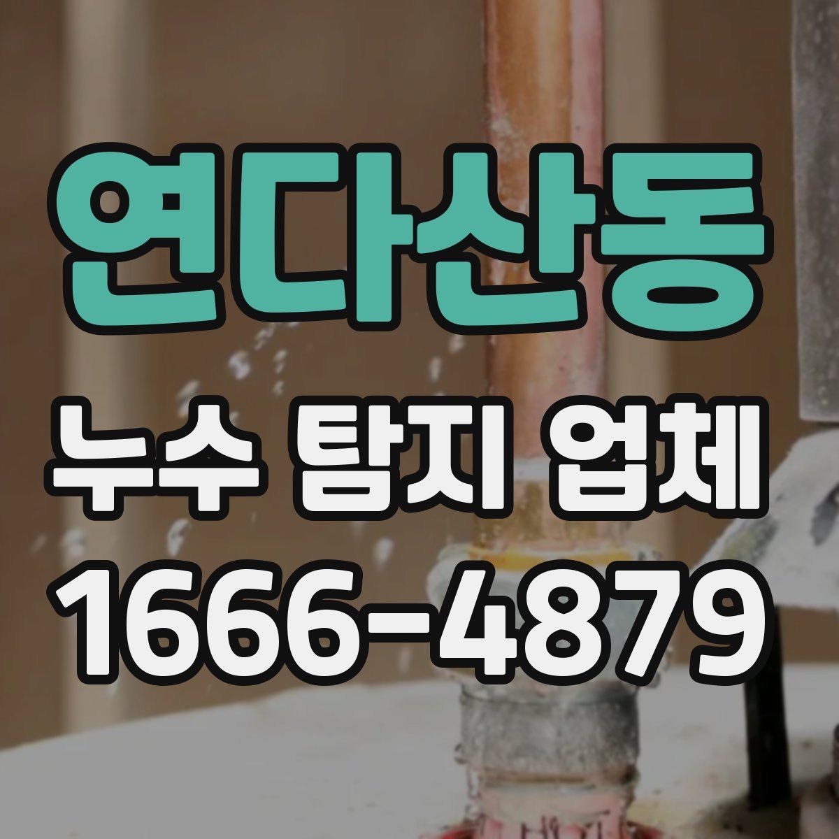 연다산동 누수 탐지 업체