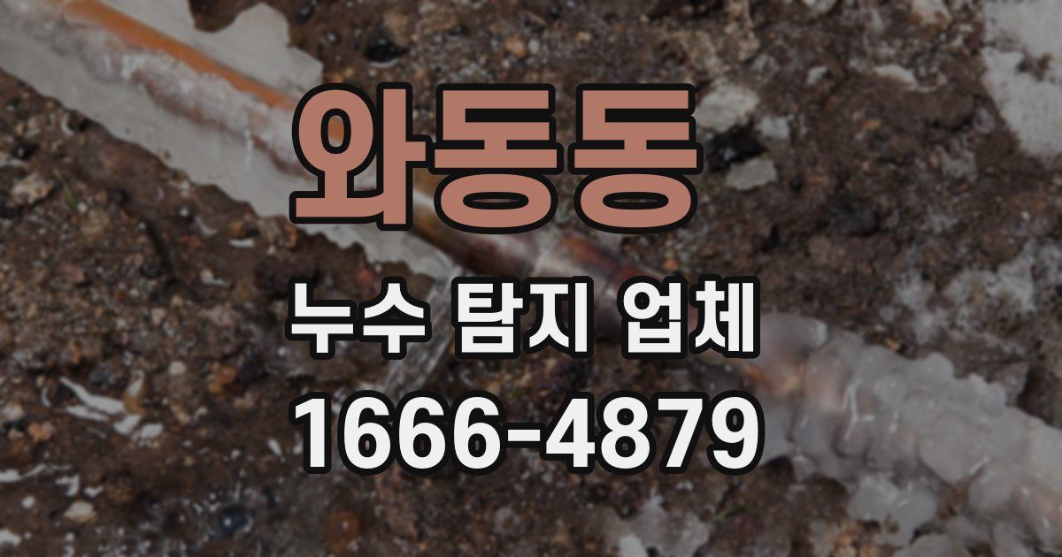 와동동 누수 탐지 업체