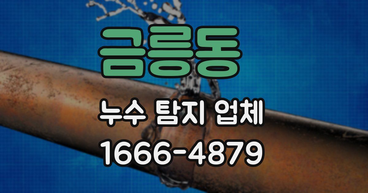 금릉동 누수 탐지 업체