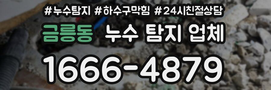 금릉동 누수 탐지 업체