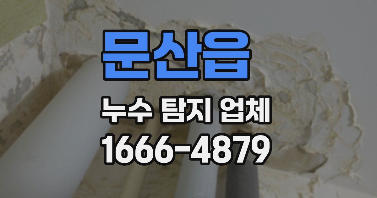 문산읍 누수 탐지 업체