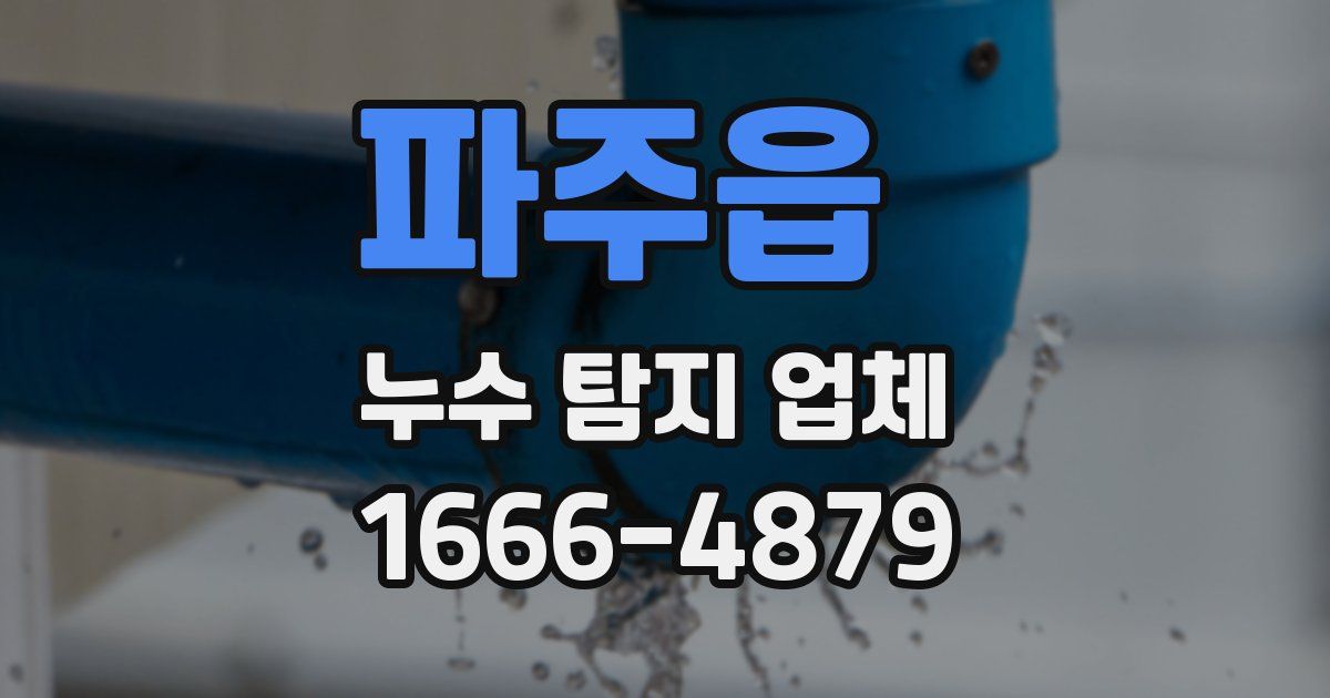 파주읍 누수 탐지 업체