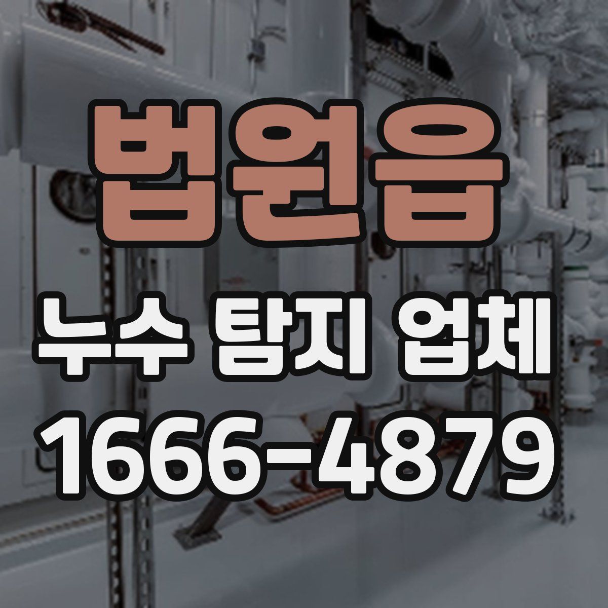 법원읍 누수 탐지 업체