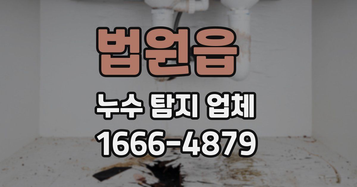 법원읍 누수 탐지 업체
