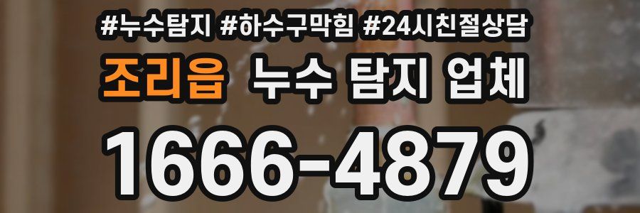 조리읍 누수 탐지 업체