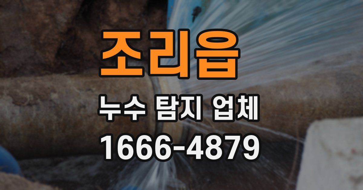 조리읍 누수 탐지 업체